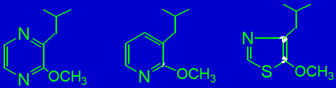 香精與香料(15)