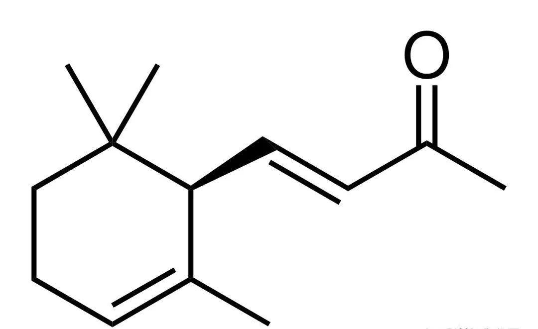 香精與香料(17)-香型與分子結(jié)構(gòu)特征的關(guān)系