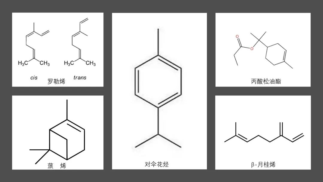 香精與香料(91)—香櫞