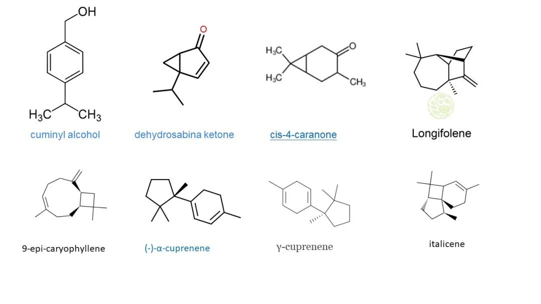 香精與香料(91)—香櫞