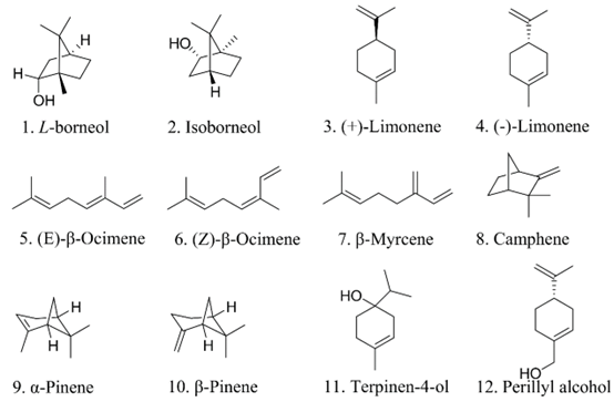 香精與香料(108)—艾納香