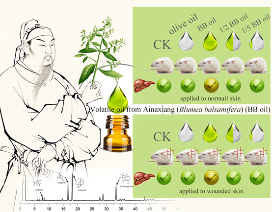 香精與香料(108)—艾納香