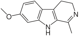 香精與香料(109)—駱駝蓬