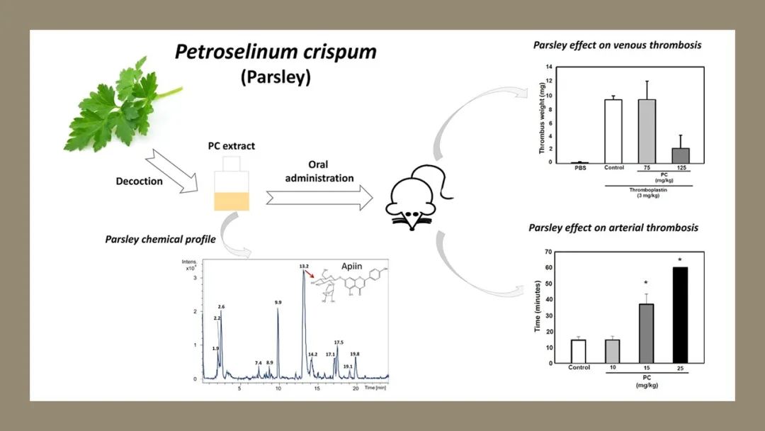 香精與香料(138)—歐芹Petroselinum crispum