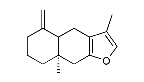 香精與香料(140)—白術(shù)