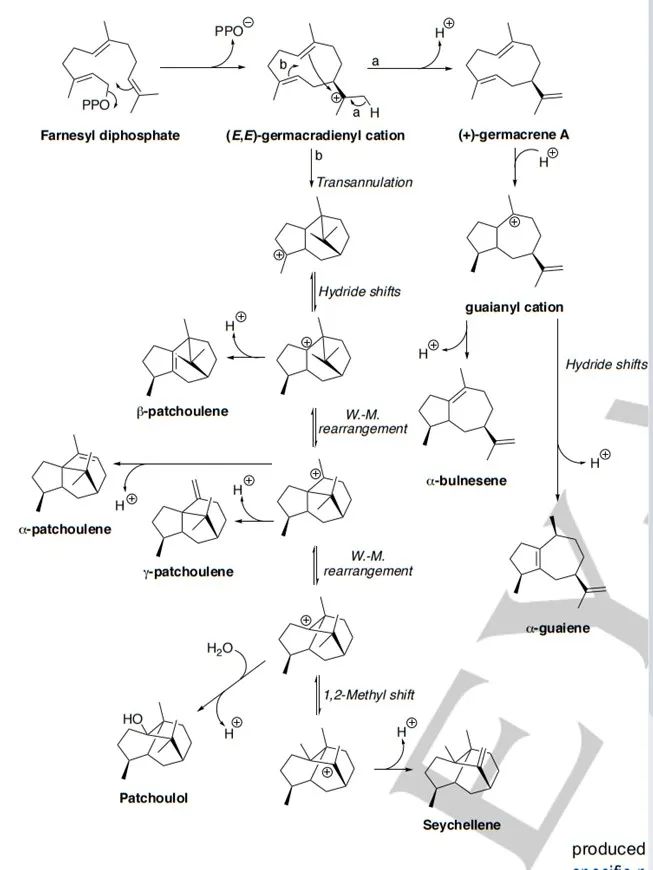 生物合成香料的化學(xué)組成、可持續(xù)性和天然性