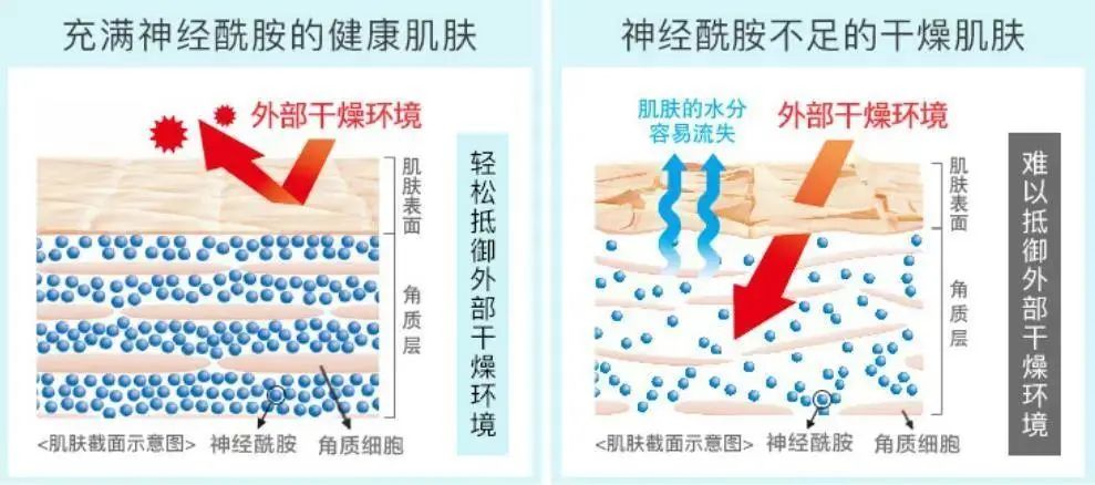 2022年護(hù)膚熱門功效成分有哪些？