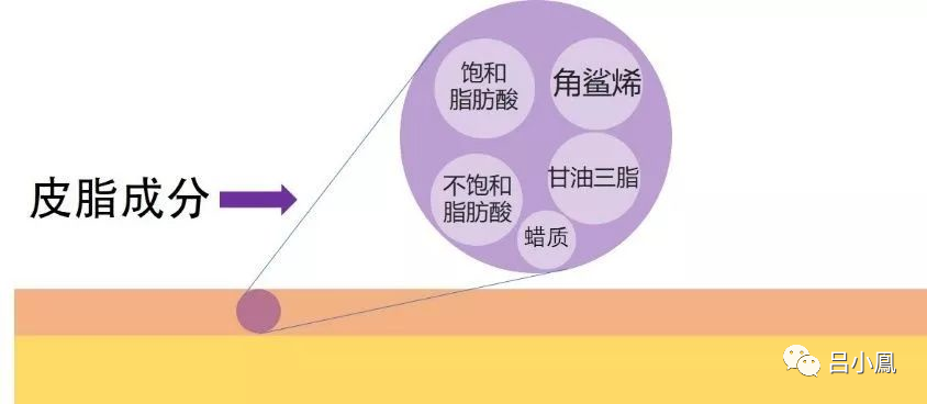 2022年護(hù)膚熱門功效成分有哪些？