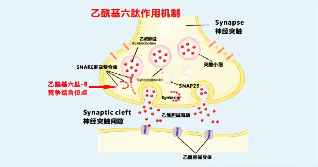 2022年護(hù)膚熱門功效成分有哪些？