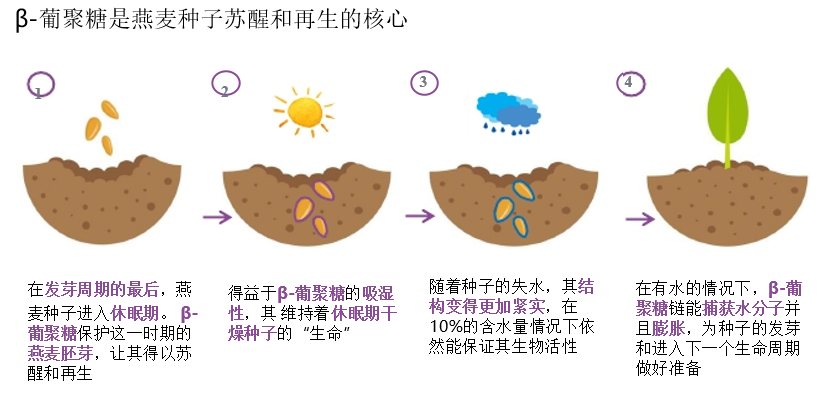 2022年護(hù)膚熱門功效成分有哪些？