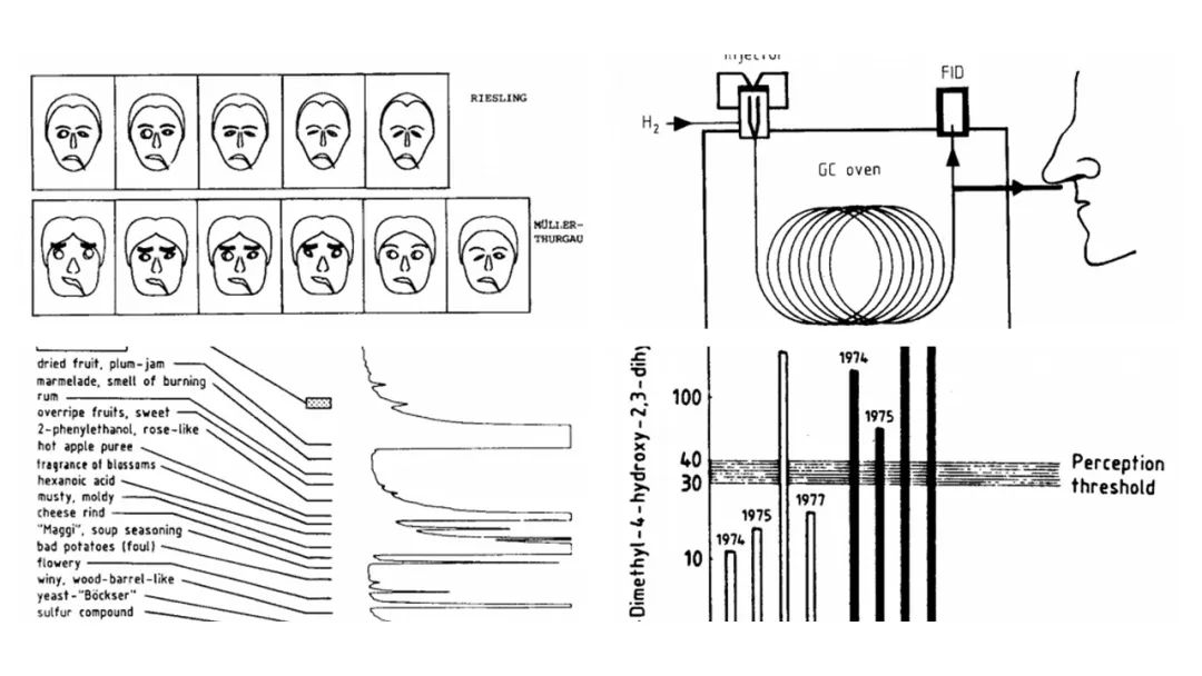 調(diào)香筆記(9)——多感官味覺感知:感官內(nèi)部和感官之間的調(diào)和、混合、融合和配對