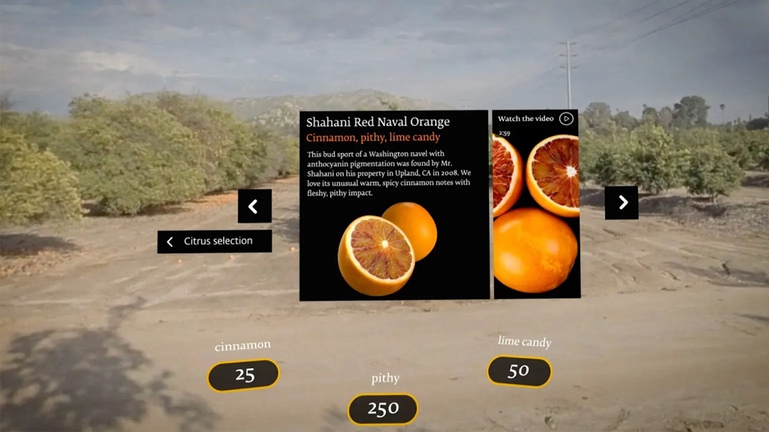 虛擬現(xiàn)實(shí)商業(yè)-奇華頓虛擬口味旅行?柑橘-把風(fēng)味創(chuàng)造到下一個(gè)水平