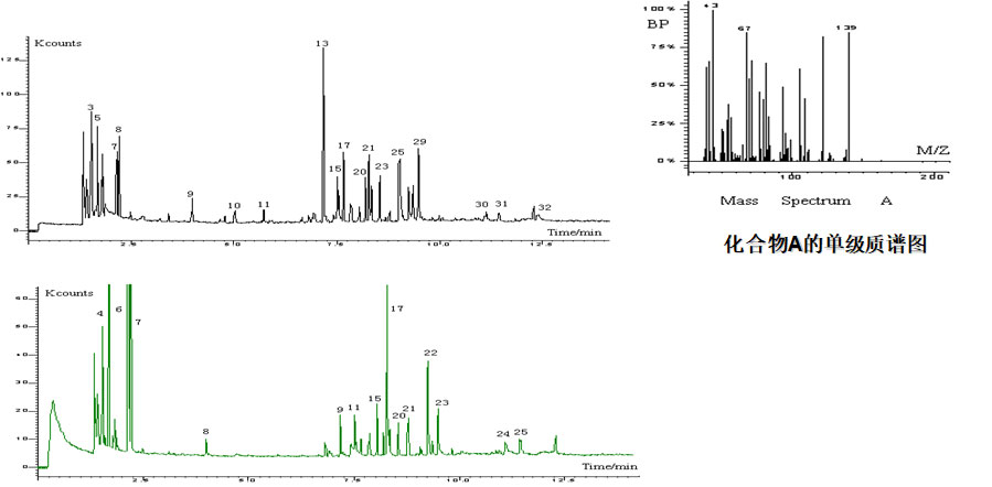 氣相色譜-質(zhì)譜定性分析